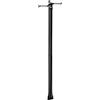 BURG-WÄCHTER Supporto per cassetta postale, Supporto per cassette della posta, US Mailbox, Da fissare nel calcestruzzo, Materiale di fissaggio incl., 893 S, 150 cm, Nero