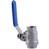 Hililand 1/2 NPT 2 vie Leva a sfera a passaggio totale Valvola a sfera acciaio inox 304 a due pezzi Valvola a sfera WOG1000