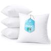 Flowen Cuscini per Divano 50x50 Imbottitura Cuscini 4 pezzi Interno Decorativi Quadrati Morbidi con Federe in Poliestere Bianca Anallergici Antiacaro Arredo Casa Salotto Letto