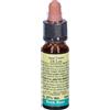 Fiori Di Bach 26 Rock Rose 10 Ml Leo ml Soluzione orale