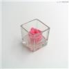 Ars Nova Cubo fondo pietra 6x6 - rosa cheri rosa e gocce