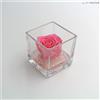 Ars Nova Cubo fondo pietra 8x8 - rosa baccara rosa e gocce