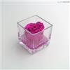 Ars Nova Cubo fondo pietra 8x8 - rosa baccara fucsia e gocce