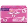 FATER SPA Proteggislip Lines Intervallo Ripiegato 40 Pezzi