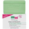 SEBAPHARMA GMBH & CO. KG Sebamed Pane Gr 100