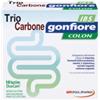 POOL PHARMA SRL Triocarbone Gonfiore Ibs 10 Buste Duocam Da 2 G + 1,5 G