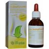 FITOSYSTEM DI C.G. System Intestinum 50 Ml