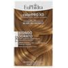 ZETA FARMACEUTICI SPA Euphidra Colorpro Xd 730 Biondo Dorato Gel Colorante Capelliin Flacone + Attivante + Balsamo + Guanti