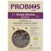 PROBIOS SRL SOCIETA BENEFIT Altricereali Penne Di Grano Saraceno Bio 250 G