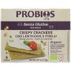 PROBIOS SRL SOCIETA BENEFIT Altricereali Crispy Crackers Con Ceci 110 G