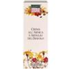NATUR-FARMA SRL Raihuen Crema Arnica E Artiglio Del Diavolo Corpo 100 Ml