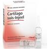 GUNA SPA Heel Cartilago Suis Injeel 10 Fiale