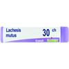 BOIRON SRL Lachesis Mutus 30 Ch Globuli 1g