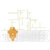 BIOSEVEN SRL Strisce Misurazione Glicemia Linea D Oro 50 Pezzi