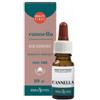 ERBA VITA GROUP SPA Cannella Corteccia Olio Essenziale 10 Ml