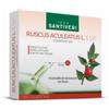 SANTIVERI SA Ruscus Aculeatus Esp 10 Fiale Da 10 Ml
