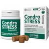INNOVET ITALIA SRL Condrostress Mobility 30 Soft Chews