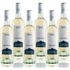 Masi Tupungato PASSO BLANCO 2024 | Vino Bianco di Argentina BIO | 6 x 750 ml | Appassimento Expertise | 6 bottiglie