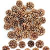 GZGXKJ 32pz Decorazioni Natalizie Pigne di Pino Naturale 3-4 cm Mini Pigne Natalizie Decorazione Pigne Adatte per Alberi di Natale Fai da te Artigianato in Resina Decorazione per Casa