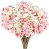 Larber 300 Pezzi Steli di Fiori Secchi Fiore Secco Margherita Fiore Essiccato Brasiliano Bianco Mini Fiori Secchi Bouquet Naturali Decorare Oggetti Di Scena Decor (Bianco + polvere)