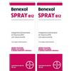 Benexol Spray Integratore alimentare di Vitamina B12 ad Alto Dosaggio 2x15 ml