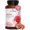 Bandini® REISHI 270 Compresse | 16.900 mg Equivalenti (13:1) | | 40% Polisaccaridi | Ganoderma Lucidum Estratto da Corpo Fruttifero | Puro e 100% Vegan | Testato in Laboratorio