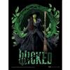 Pyramid International Stampa da collezione ufficiale Wicked 2, (cornice arrotondata Elphaba), arte decorativa di alta qualità per gli amanti del teatro e i collezionisti, poster incorniciato, 30 x 40