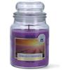 Magic Lights Candela Profumata Lavanda Provenzale 510g in Giara Grande - Candela Relax SPA con Stoppino in Legno Scoppiettante - Fino a 90 Ore - Cera Vegetale - Made in Italy