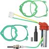 MaxEarn 8pcs 12V 2KW 5KW 8KW Kit ceramico riscaldatore da parcheggio con candelette, kit di riparazione diesel aria ago + 4 guarnizioni + filtro, Adatto per riscaldatore per auto, camion, barche
