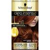 Schwarzkopf Oleo Intense Tintura permanente per capelli, marrone rame chiaro 5-77, 170 g