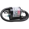 cyclingcolors Bobina accensione moto ciclomotore scooter compatibile con mbk booster mach g nitro ovetto stunt yamaha aerox bw's jog r neos slider aprilia sr scarabeo