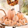 Benjia Decorazioni Della Autunno Zucca all'esterno, Grandi Mini Autunnali Zucche di Zucca Ornamentale Decorazioni Autunnali per Halloween Ringraziamento decorazione da tavola (Terracotta, 16 Pezzi)