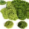 ROLLWAY Muschio Finto per Decorazioni 200G, artificiale Muschio Sintetico Erba Finta per Decorazioni，Verde Lichene Modellismo Simulazione per Terrario, Acquario, Natale, Pasqua, Parete