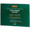 LACOTE Srl GUAM PANTADREN SALINO BUSTA RICARICA 100 ML