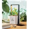 Vaso da interno con luce a 4 LED Lushlet personalizzate o neutre