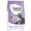 Concept for Life Mum & Young Kittens - ricetta migliorata! - Set %: 2 x 10 kg
