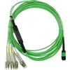 BlueOptics Cavo breakout FO MPO-4xLC OM5 10 metri