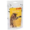 CANDIOLI GATTO BOLO VIA CHEWS 40 GR 40G