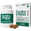 INNOVET ITALIA SRL Condrostress Mobility 90 Soft Chews
