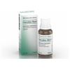 BIOLOGISCHE HEILM. HEEL GMBH Cocculus-heel Orale Gtt 30 Ml