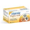 Vitalmix Vital mix Pappa Reale Energia per l'Organismo Tonico con Vitamina B 10Flaconcini