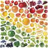 Yanoman Puzzle 306 Pezzi Fresco Arcobaleno Quadrato Puzzle 25x25 cm JP