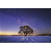 Yanoman Puzzle 300 pezzi KAGAYA Harunire Tree and Milky Way JP