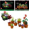 LEGO Bundle of LEGO 10309 Icons Piante Grasse Artificiali+ LEGO 10329 Icons Piantine,