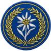 538 WW2 SZAROTKA POLACCO INDIPENDENTE HIGHLANDER BRIGADE PATCH POLONIA