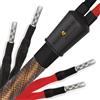 WIREWORLD ECLIPSE 10 BIWIRE SPEAKER CABLE COPPIA CAVI DI POTENZA 2.5M NUOVI