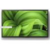 Sony TV KD32W800P1AEP TV 32 W800 HD READY ANDROID TV