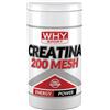 BIOVITA Srl WHYSPORT CREATINA 200 MESH 500 G