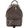 Louis Vuitton Pre-Owned - Zaino Palm Springs PM con monogramma 2015 - unisex - tela - Taglia unica - Marrone