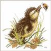 LANARTE Kit Punto Croce Contato ANATROCCOLO E CALABRONE Decorativi per Pareti ca. 14 x 14 cm Set Fai da Te Creativo Adulti Ricamo Casa Decor Arte da Parete Kit per Hobby Cross Stitch